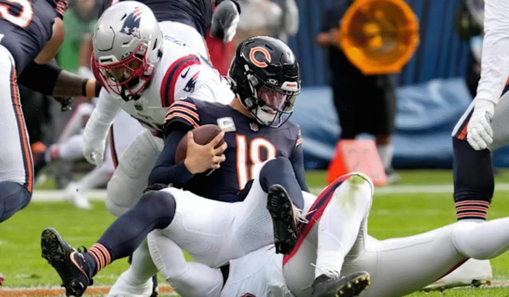 Bengals vs Chicago Bears match player stats