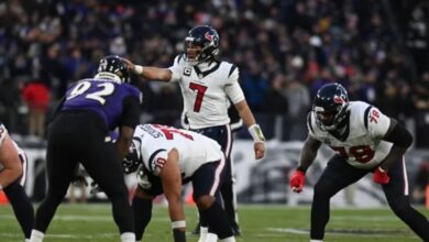 Baltimore Ravens vs Texans Match Player Stats