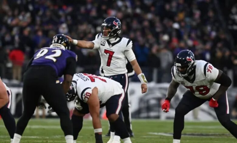 Baltimore Ravens vs Texans Match Player Stats