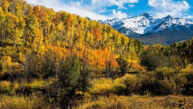 Breathtaking Journey from Denver to Aspen – Travelling with Rock2Rocks