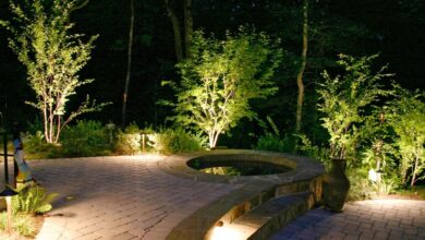 How to Highlight Trees and Plants with Landscape Lighting