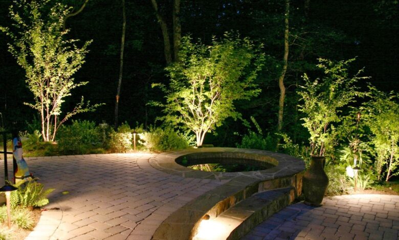How to Highlight Trees and Plants with Landscape Lighting