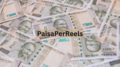 Paisaperreels