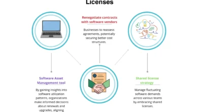 Software Licensing