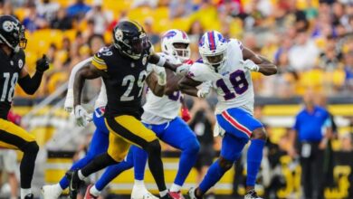 Buffalo Bills vs Pittsburgh Steelers Match Player Stats