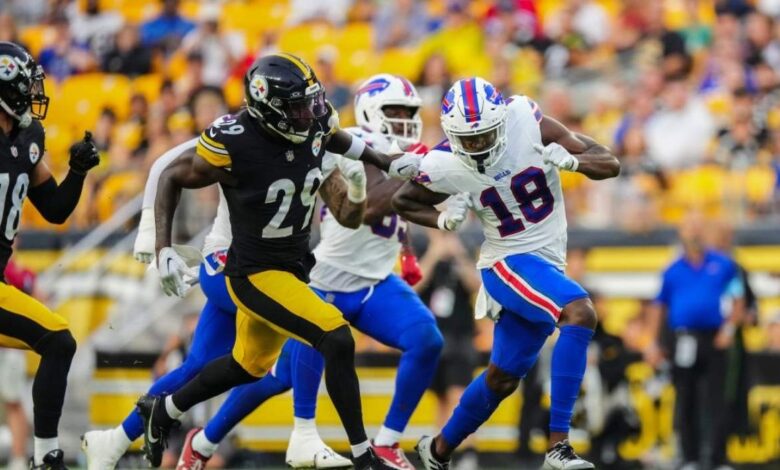 Buffalo Bills vs Pittsburgh Steelers Match Player Stats