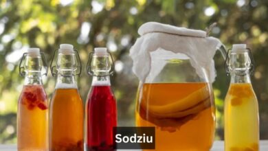 Sodziu