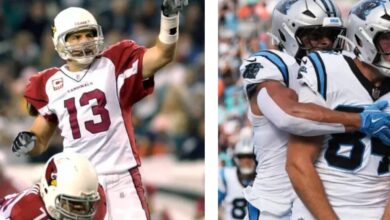 carolina panthers vs arizona cardinals match player stats