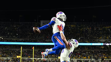 Buffalo Bills vs Pittsburgh Steelers Match Player Stats