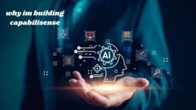 Why Im Building Capabilisense
