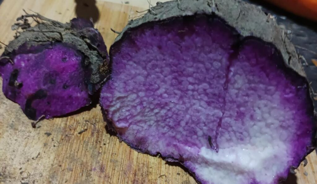 what does ube taste like
