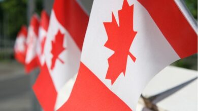 Best Translation Service in Canada A Professional Comparison of Top Agencies