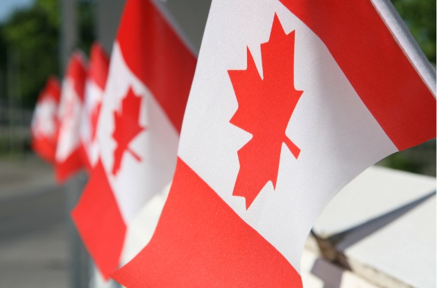 Best Translation Service in Canada A Professional Comparison of Top Agencies