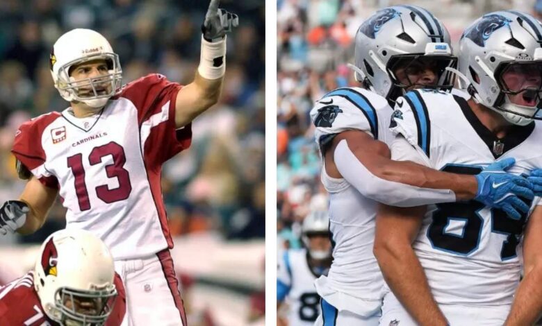 carolina panthers vs arizona cardinals match player stats