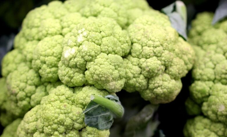 is broccoli a hybrid food