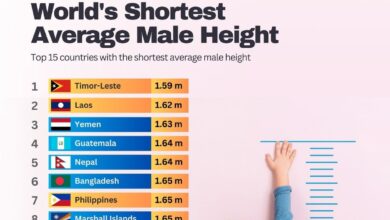1.67 m height in feet