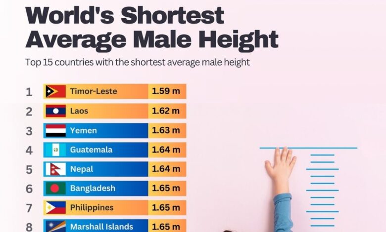 1.67 m height in feet