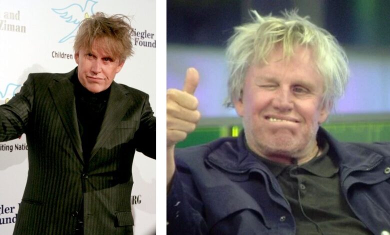 gary busey