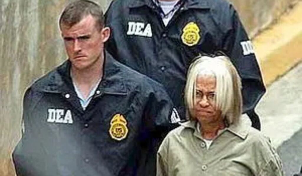 miss puerto rico julianna farrait 1970