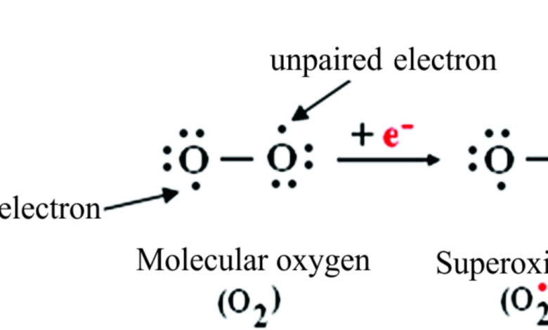 superoxide