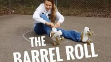 do a barrel roll x2